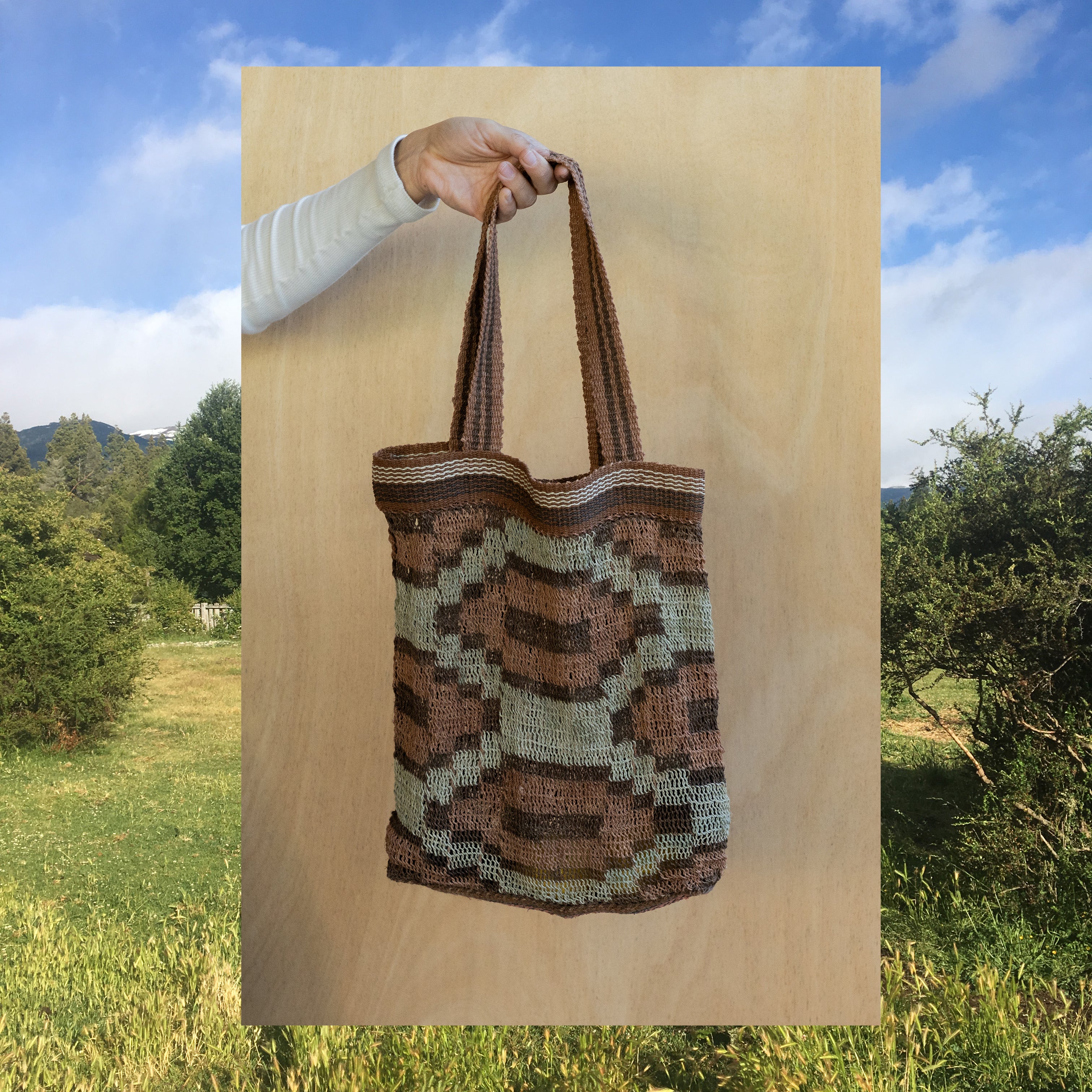 Patagonia Tote