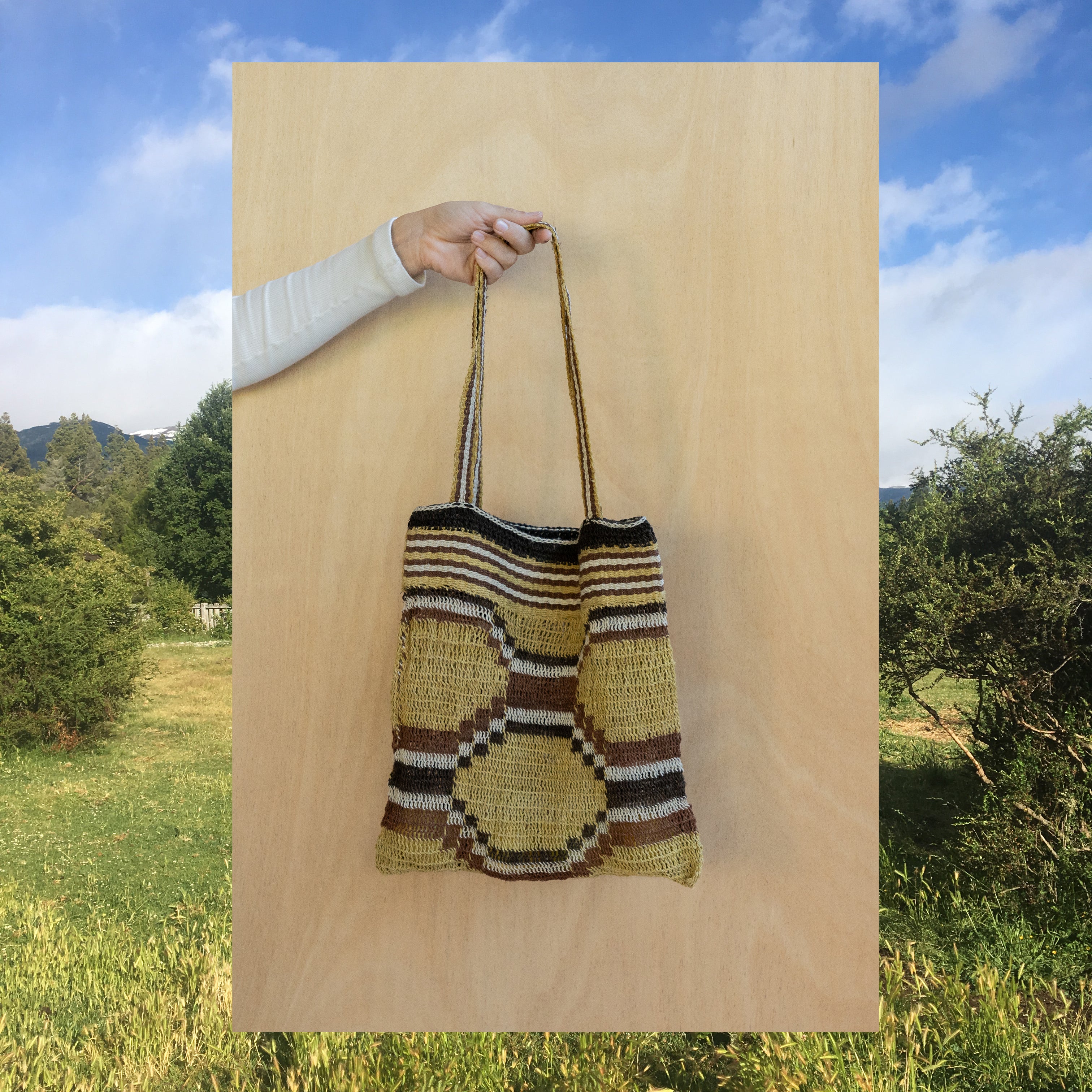 Patagonia Tote